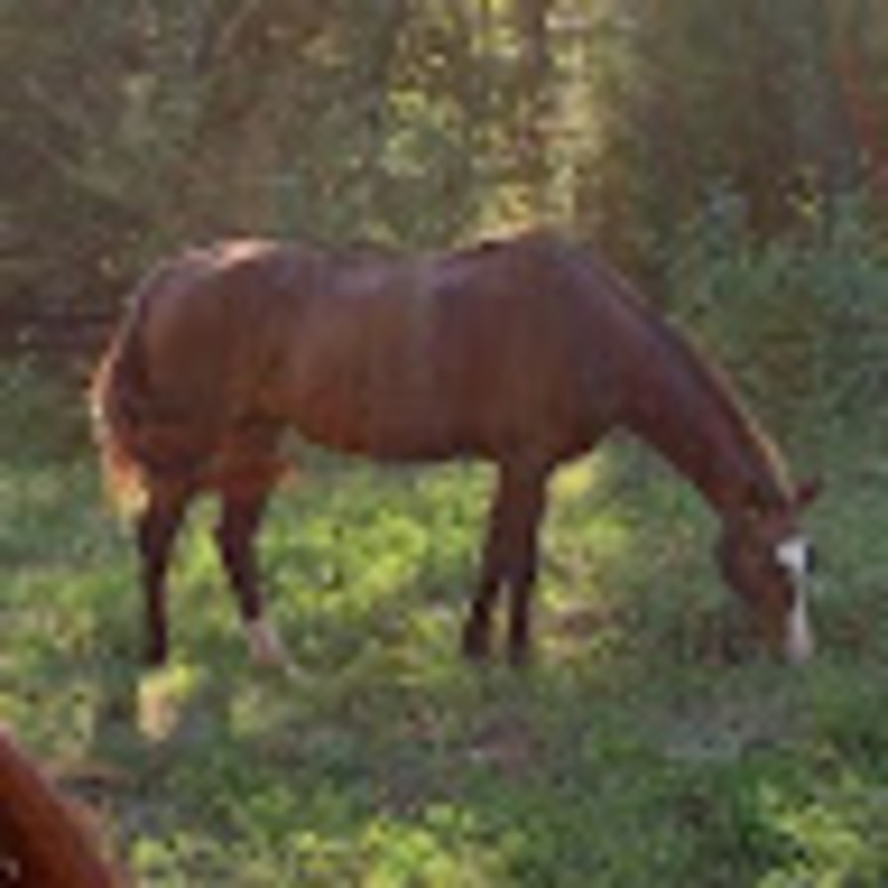 Meet your Posher, Courtney